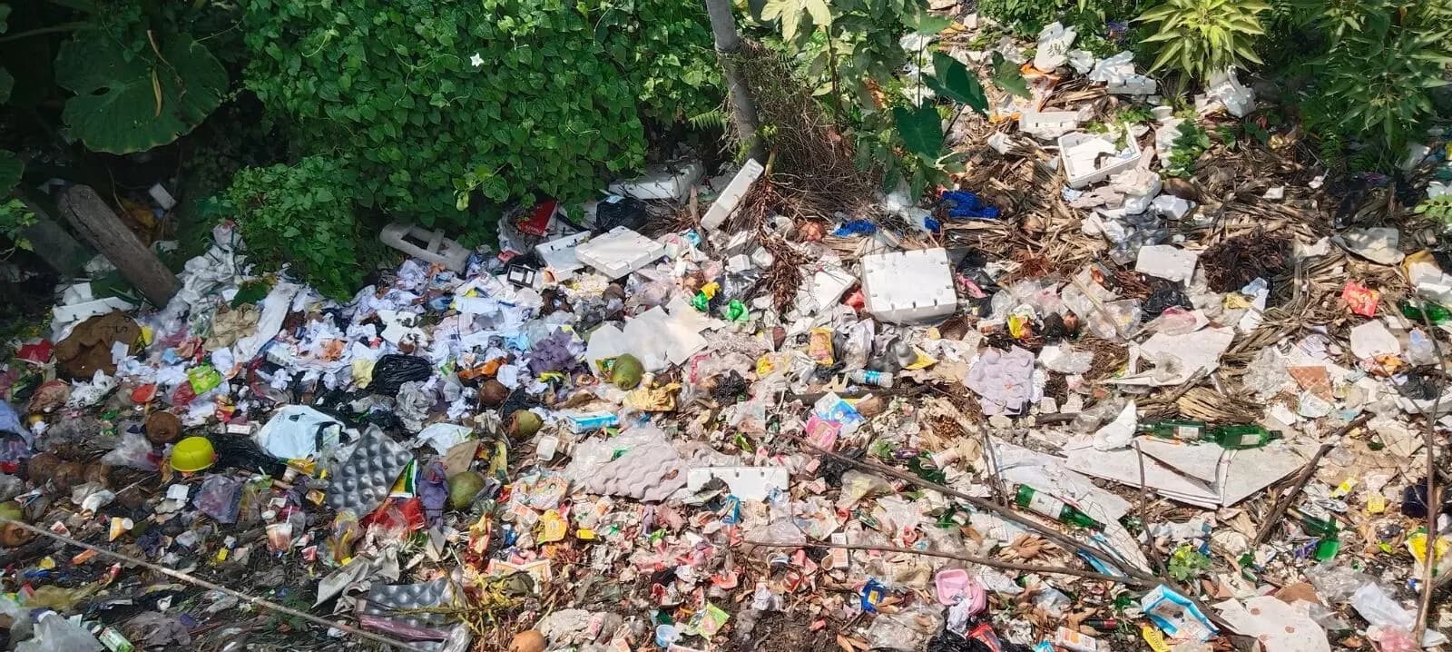 76% of surveyed Guwahati sites flout single-use plastic ban: Study