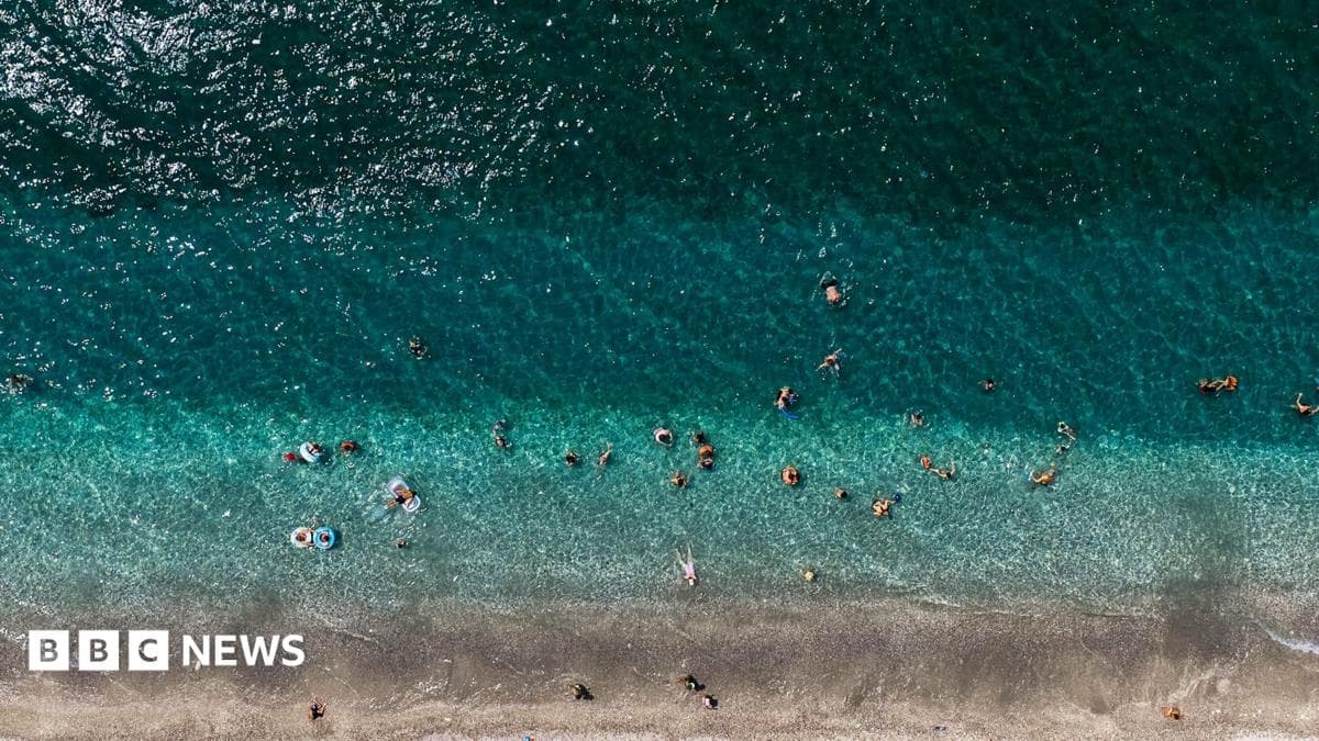 World's oceans hit record-high July temperatures